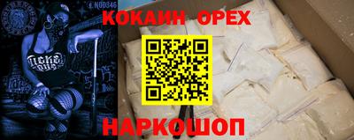 СК Бийск