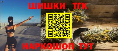 СК Бийск