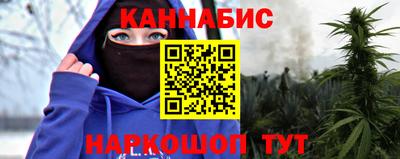 СК Бийск