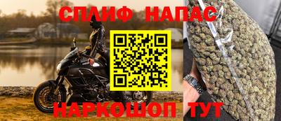 СК Бийск