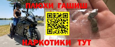 СК Бийск