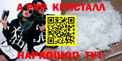 СК Бийск