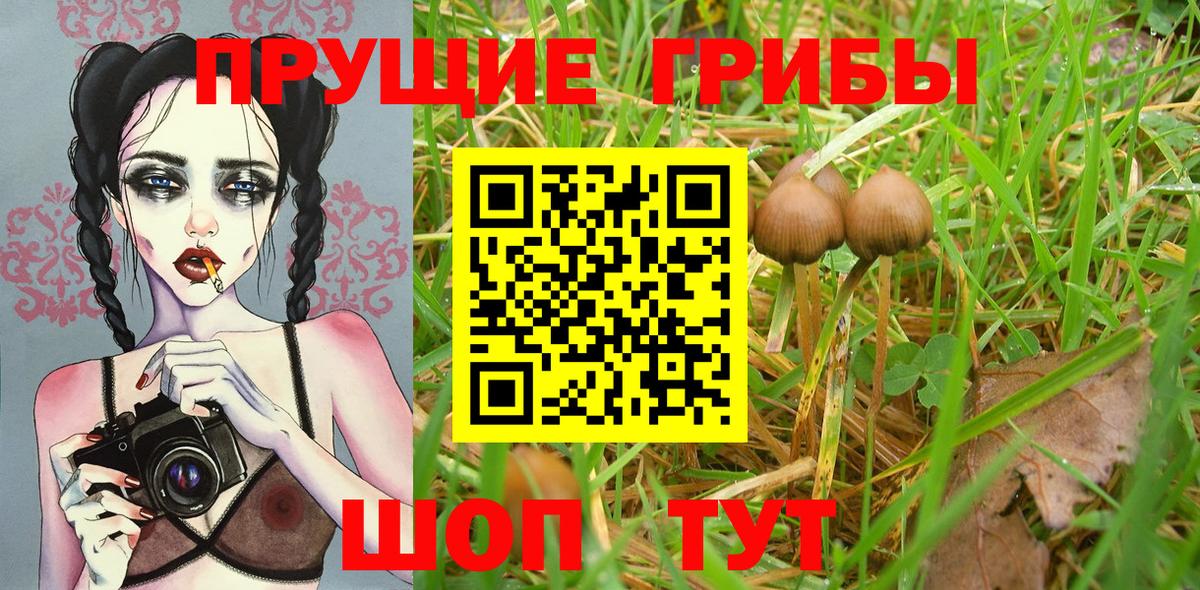 APVP СОЛЬ кристаллы  Кокаин  ЭКСТАЗИ  Codein  Меф МЯУ МЯУ  Мефедрон   Камышин  Вход с VPN  Конопля 