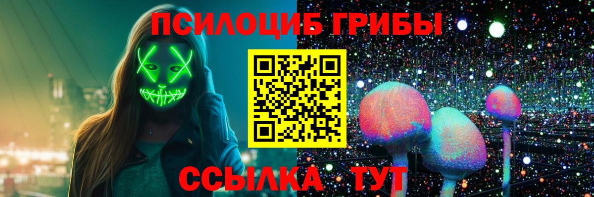 Псилоцибиновые грибы MAGIC MUSHROOMS Камышин