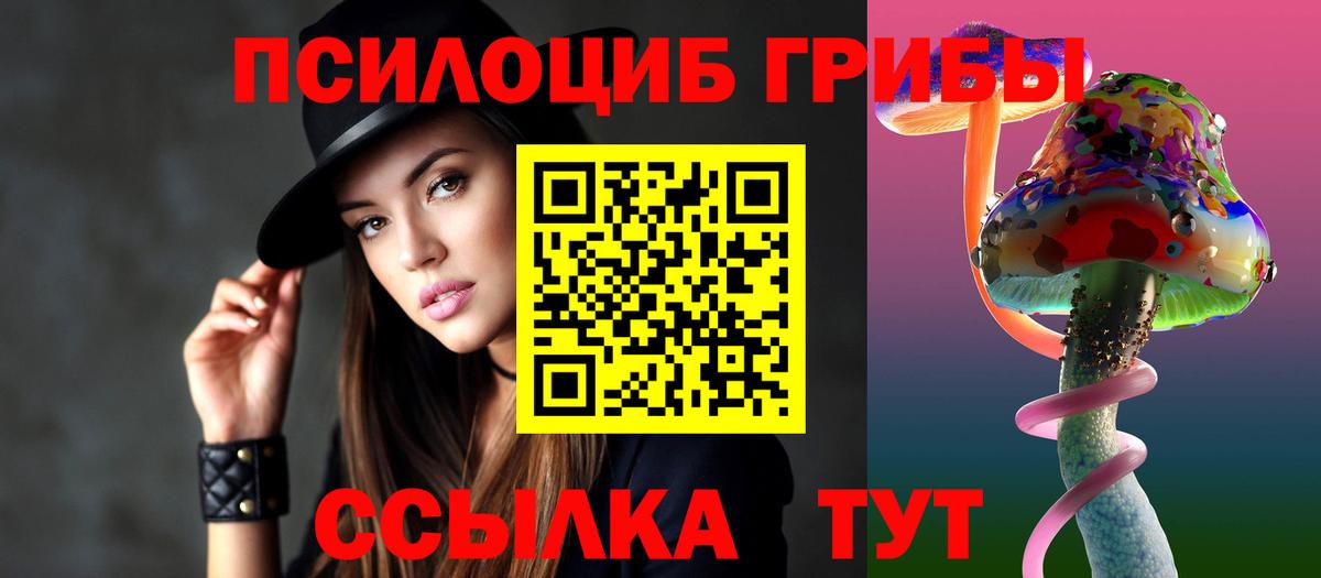 Камышин  Галлюциногенные грибы мухоморы  Псилоцибиновые грибы прущие грибы  Вход с VPN 
