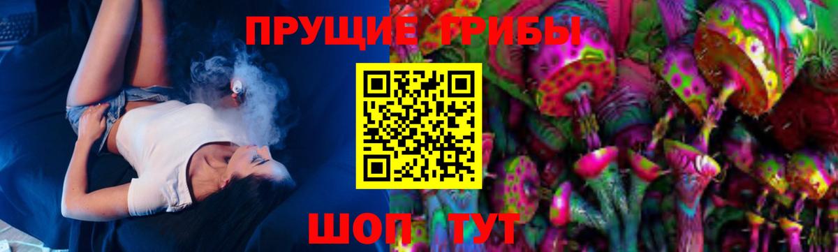 Галлюциногенные грибы Magic Shrooms  где купить наркотик  Камышин  Галлюциногенные грибы Magic Shrooms 